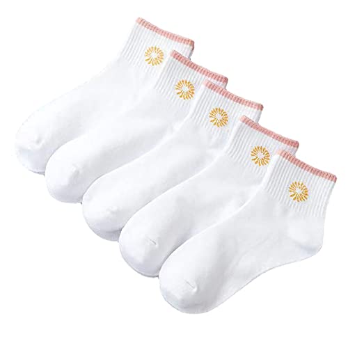 5pairs Comble6