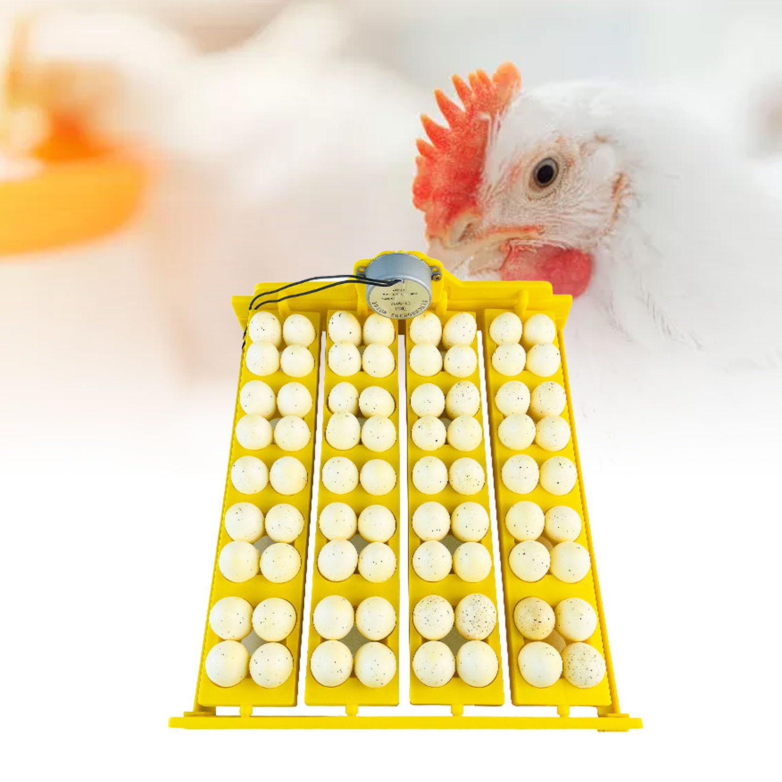 TOPINCN 16 Egg Incubator with Automatic Turning & Humidity Control - Digital Poultry Hatcher for Chicken, Duck, Quail, Goose Eggs - Includes LED Egg Candler for Home Farming & Classroom Hatching Projects