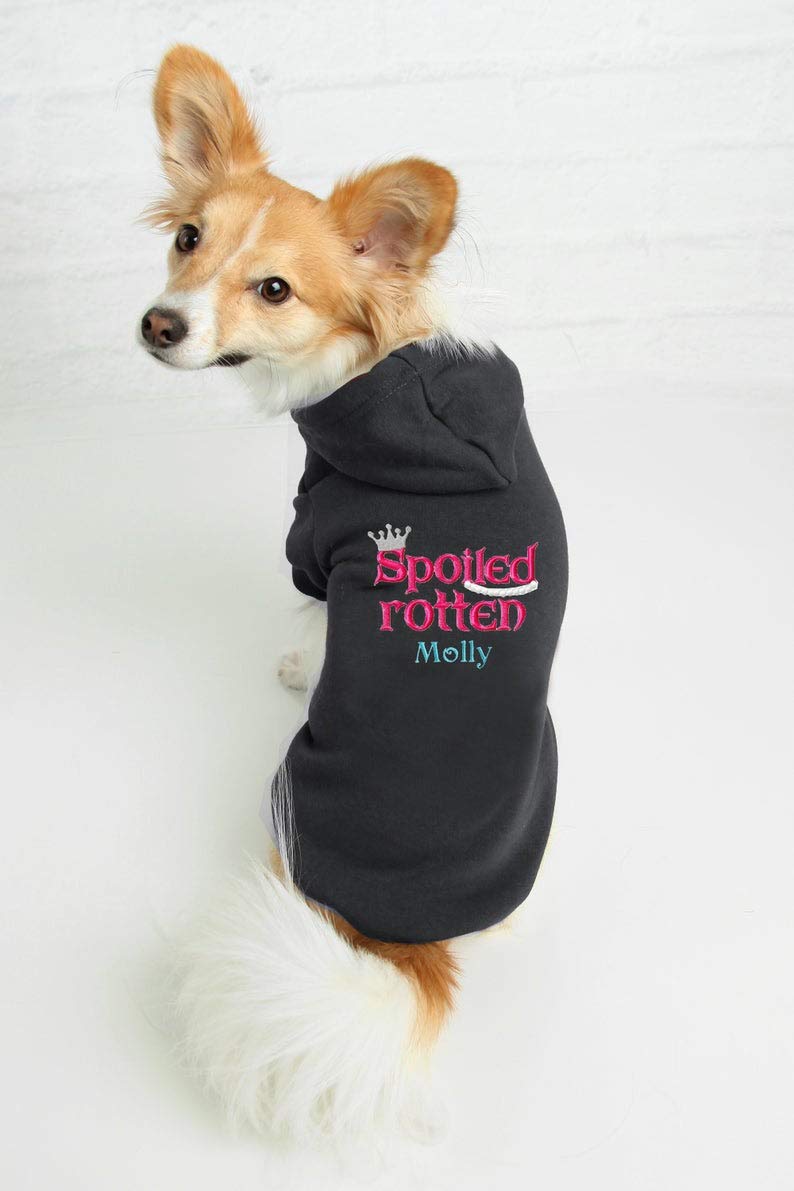 Custom Personalized Dog Hoodie for Small Dogs - Cozy Pet Sweatshirt with Name Embroidery - Perfect for Winter Walks & Photo Shoots