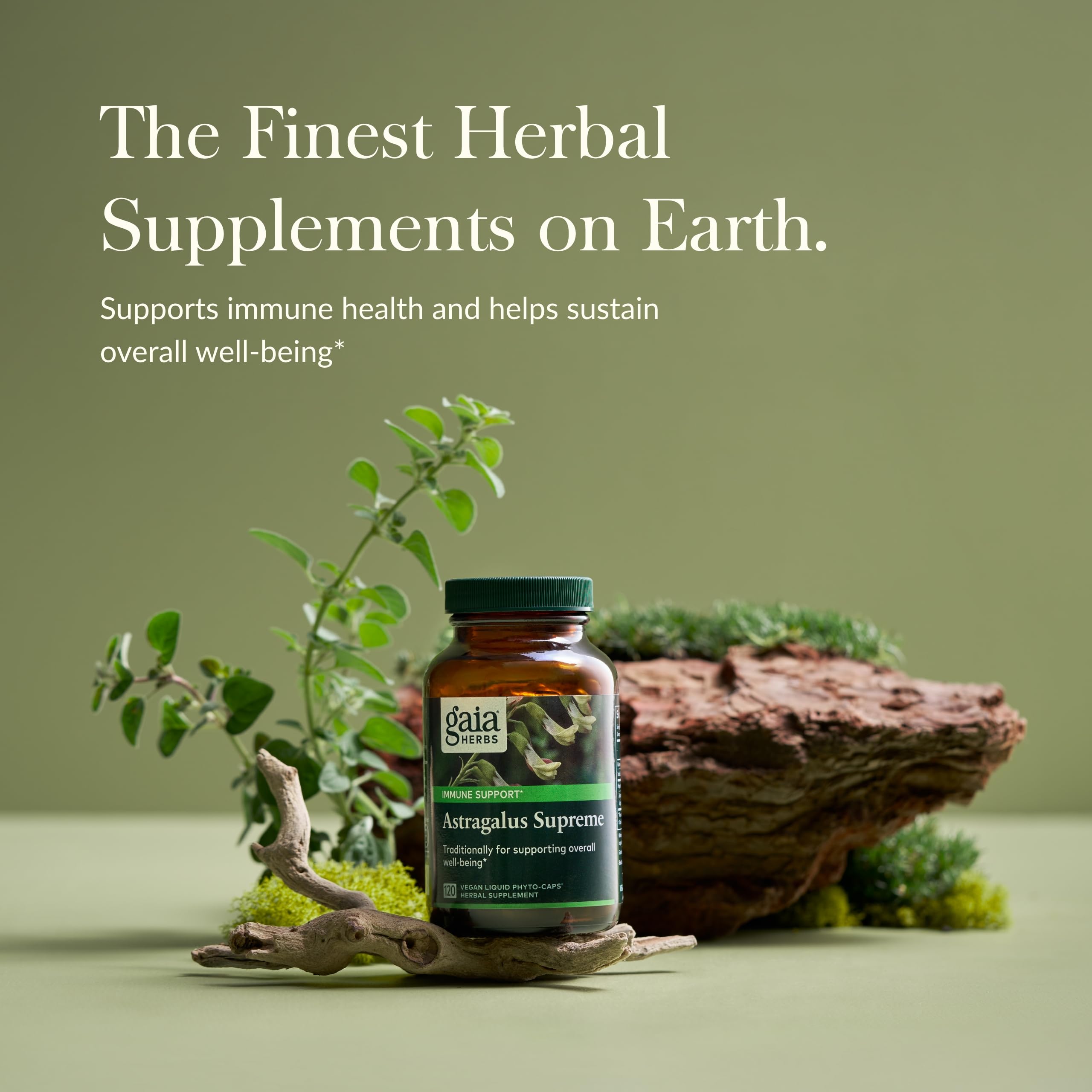 Gaia Herbs Astragalus Supreme - Immune & Antioxidant Support Supplement with Astragalus Root, Schisandra Berry & Ligustrum - 120 Vegan Liquid Phyto-Capsules (30-Day Supply) - Boost Immunity & Energy for Busy Professionals & Active Lifestyles