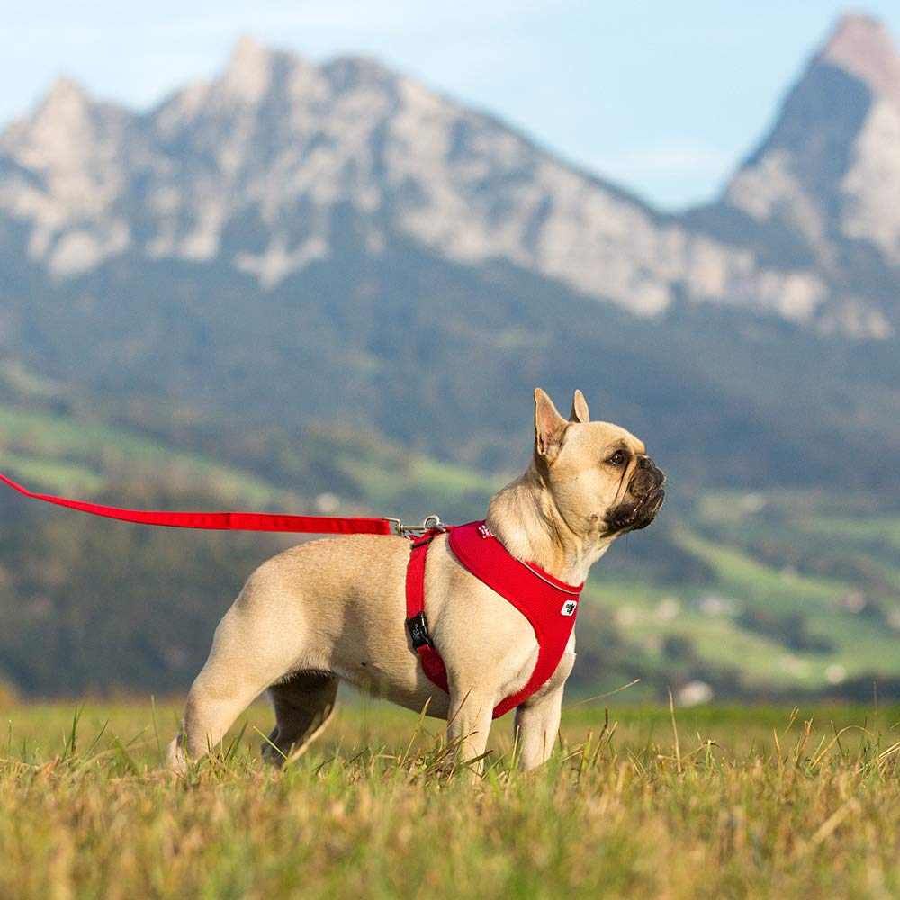 Premium Air-Mesh Dog Harness - Red, Adjustable & Breathable for Small to Medium Dogs - Perfect for Walking, Running & Outdoor Adventures