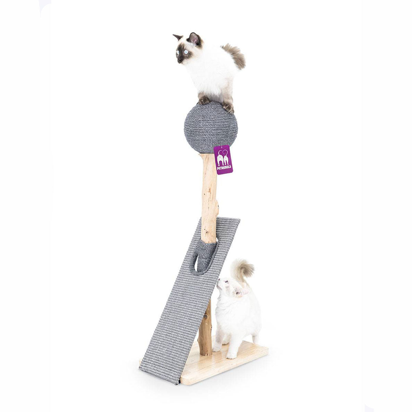 Little Rebels Palmdale 102cm Cat Tree with Scratching Posts & Perches - Multi-Level Playhouse for Indoor Cats - Perfect for Small Spaces & Apartments