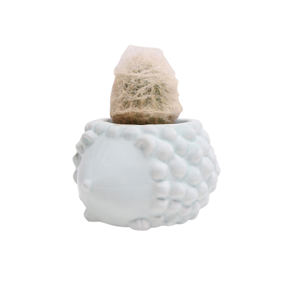 Hedgehog-Shaped Ceramic Planter for Succulents - Small Indoor Flower Pot with Drainage Hole - Perfect for Home, Office Desk Decor and Gift Ideas