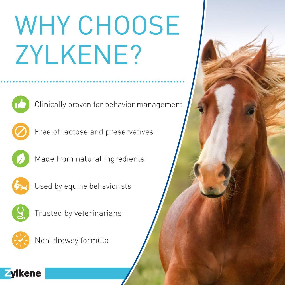 Vetoquinol Zylkene 2000mg Equine Calming Supplement Powder for Horses - 20 Count - Supports Stress Relief & Behavioral Balance - Ideal for Travel, Training & Competition