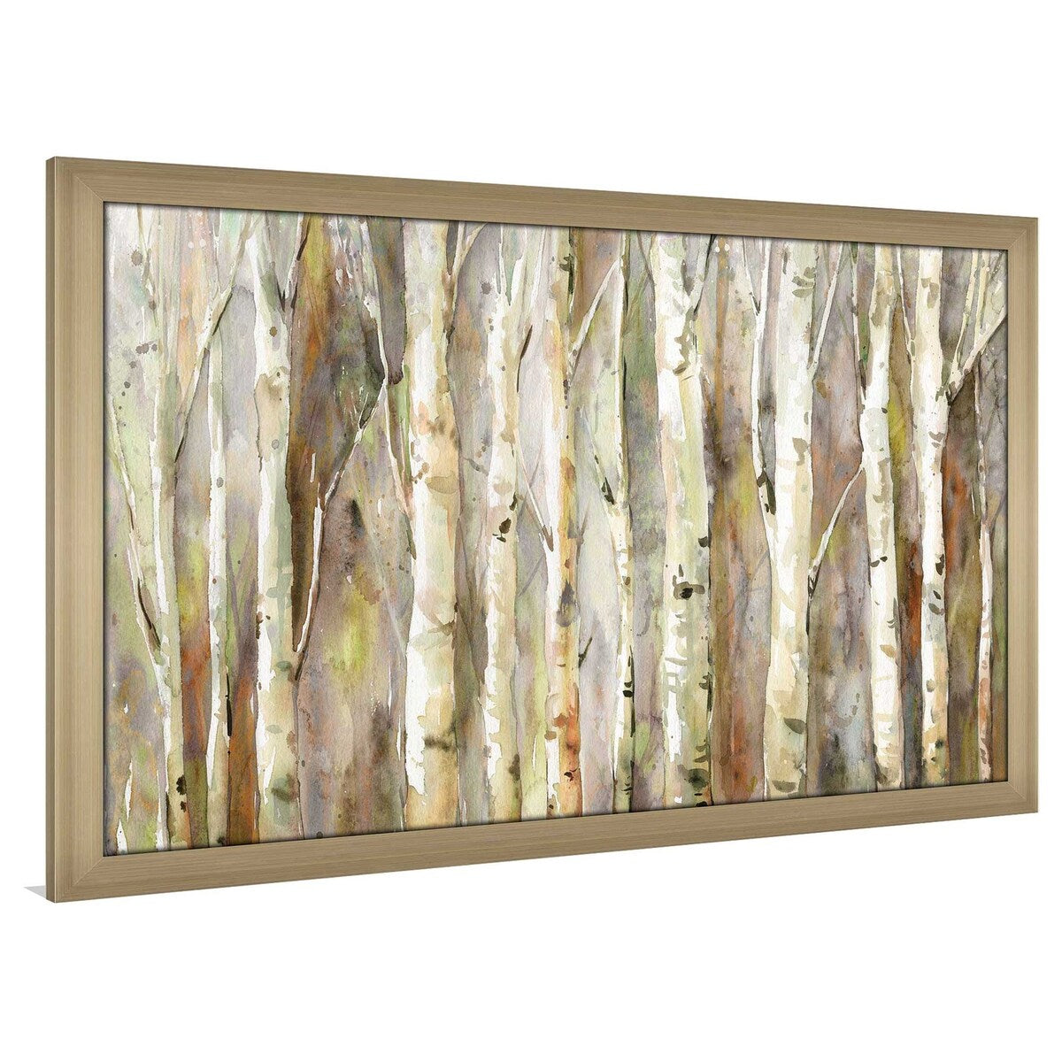 Birch Path by Carol Robinson - Premium Acrylic Wall Art Print - Nature Landscape Decor for Living Room, Bedroom & Office