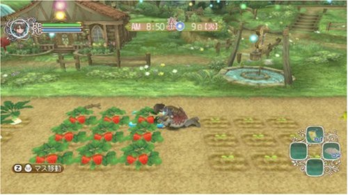 Rune Factory: Frontier - Nintendo Wii Game - Fantasy Farming & Adventure RPG for Family Fun & Relaxing Gameplay