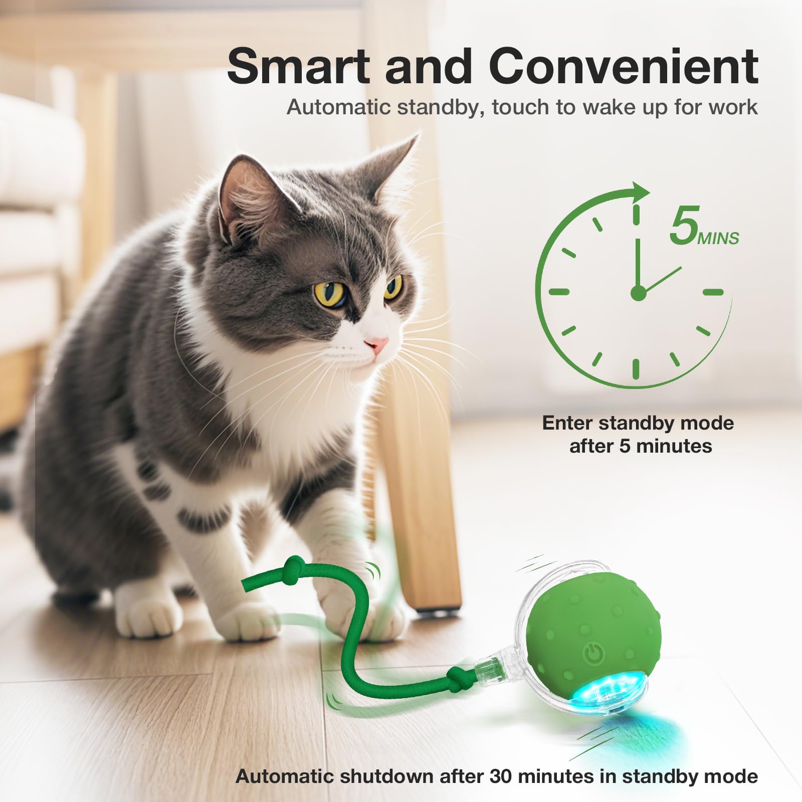 Interactive Electric Cat Toy Ball with Chirping Bird - Fast Rolling Motion Activated Kitten Toy for Indoor Cats - Fun Play on Carpet & Hard Floors (Green) - Perfect for Exercise, Boredom Relief & Bonding with Your Feline Friend