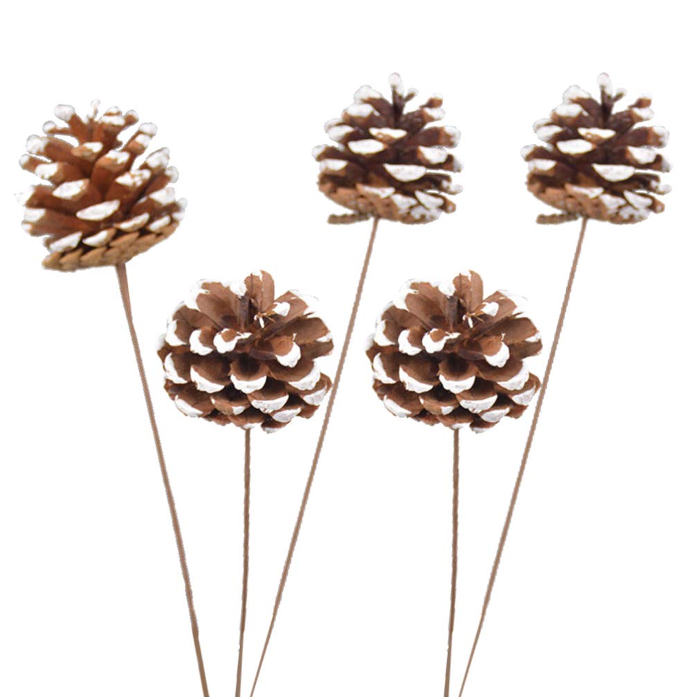 Amosfun 5 Pack Natural Pine Cones for DIY Crafts, Christmas Decor, Wedding Bouquets, Home Vase Fillers – Perfect for Holiday Centerpieces, Rustic Wedding Decorations, and Seasonal Home Decor