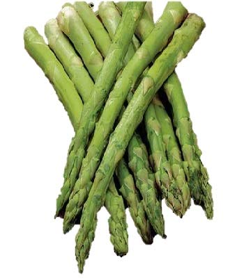 Mary Washington Asparagus Bare Root Plants - 100 Crowns for Home Gardening | Fresh Vegetable Planting & Perennial Garden Starter