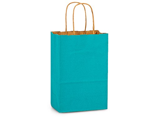 250 Pack Caribbean Blue Recycled Kraft Tinted Paper Bags with Serrated Edge & Twisted Handles - 5.5