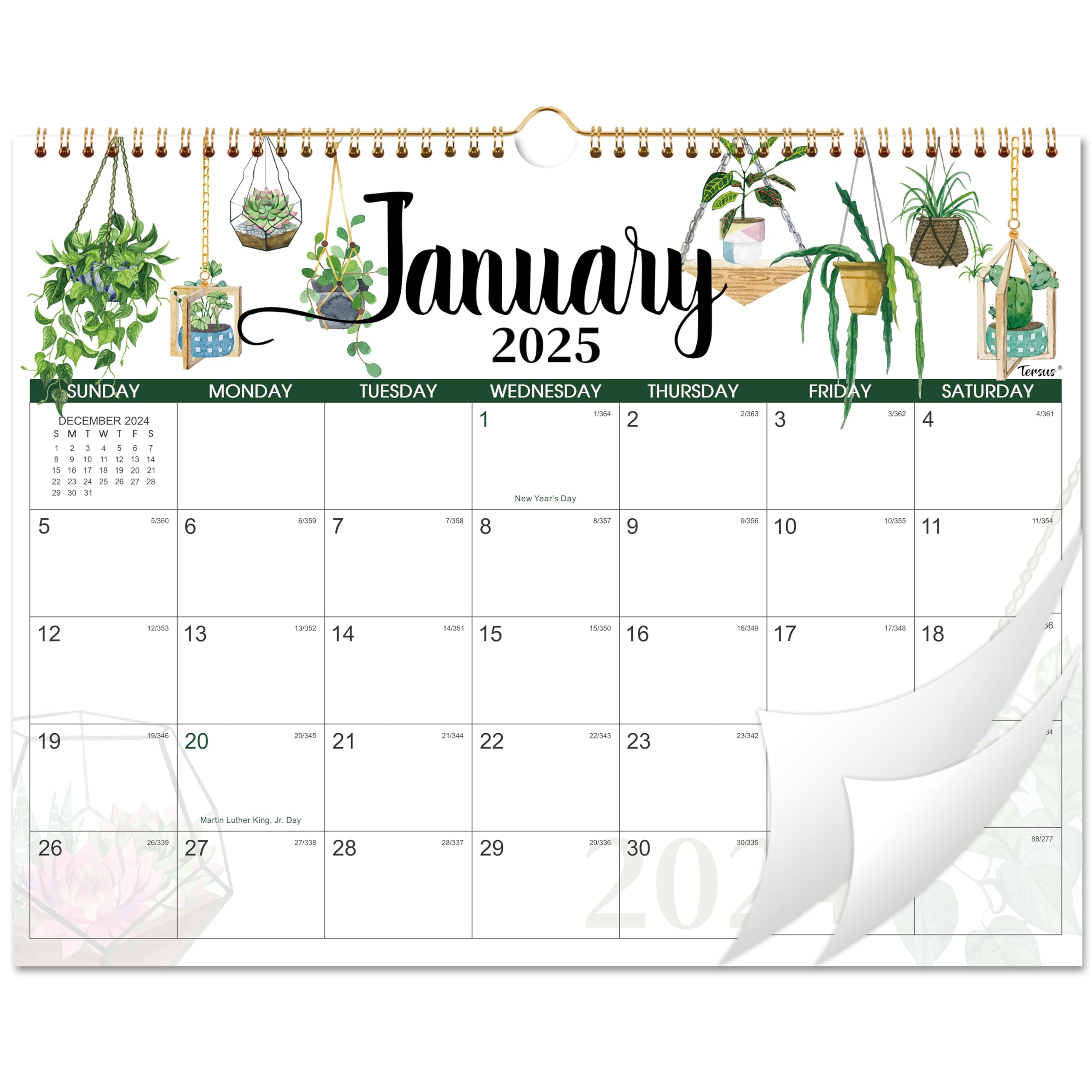 2025 Wall Calendar - 12 Month Large Format Planner (14.8