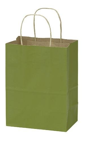 Eco-Friendly Medium Rainforest Paper Shopping Bags 8