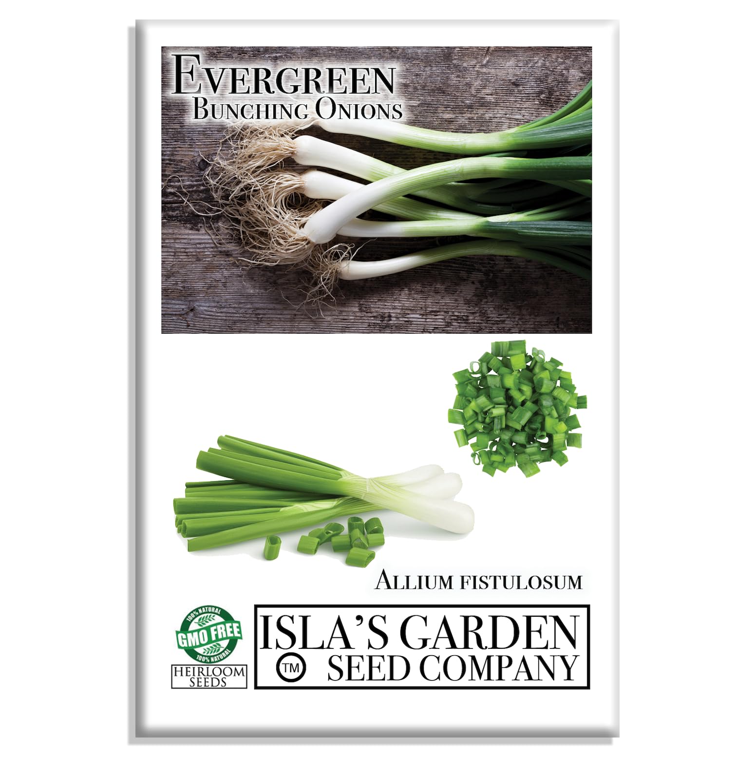 Evergreen Bunching Nebuka Onion Seeds for Planting - 500+ Heirloom Non-GMO Seeds (Allium fistulosum) by Isla's Garden Seeds - Perfect for Home Gardens, Urban Farming & Fresh Cooking