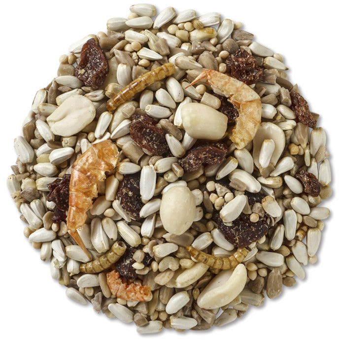 Premium Wild Bird Seed Mix with Nuts, Berries & Bugs - 5 lb Bag - Attracts Cardinals, Blue Jays & Finches - Perfect for Backyard Bird Feeders & Wildlife Gardens
