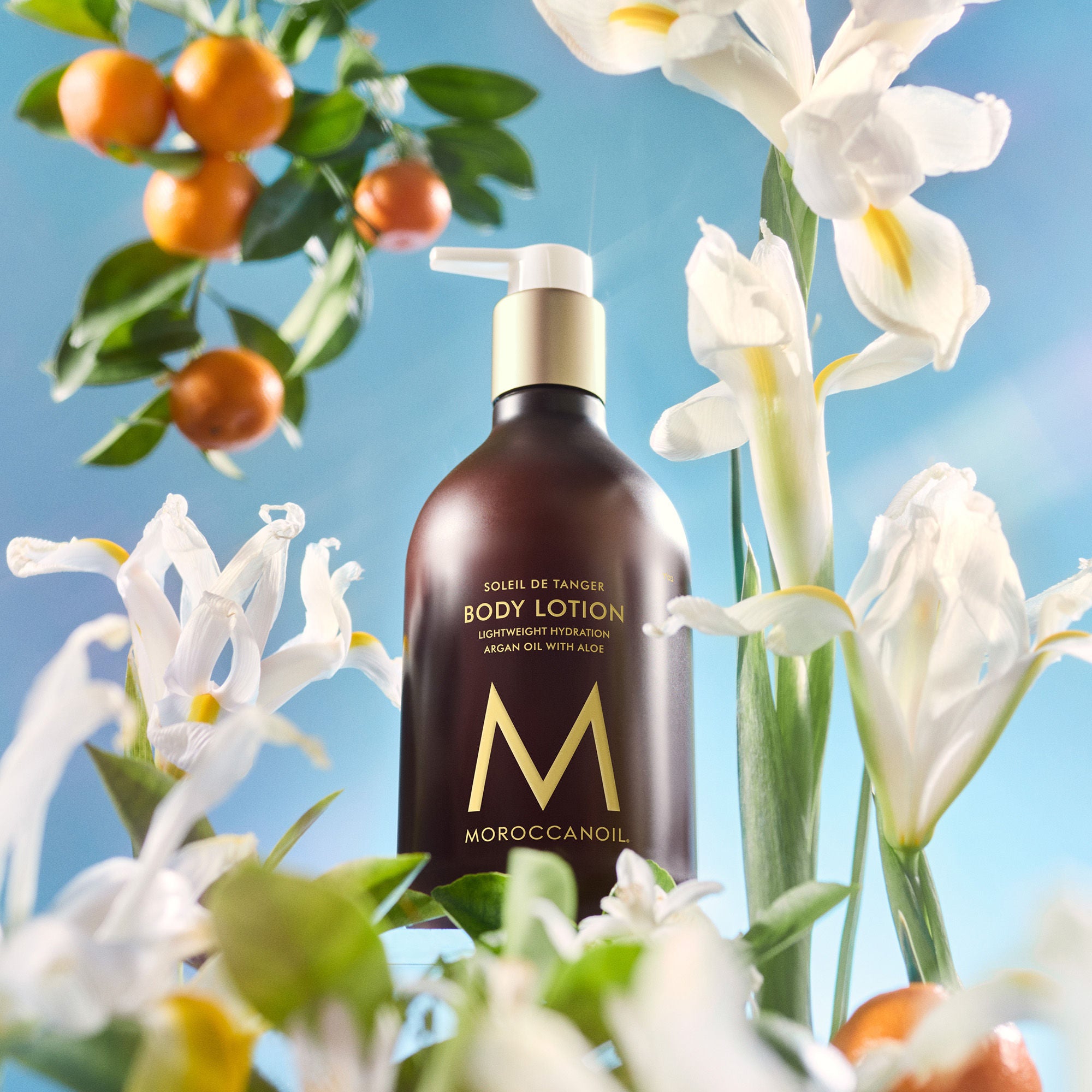 Soleil de Tanger Body Lotion - Hydrating & Nourishing Moisturizer for Dry Skin | Perfect for Daily Use & After Sun Care