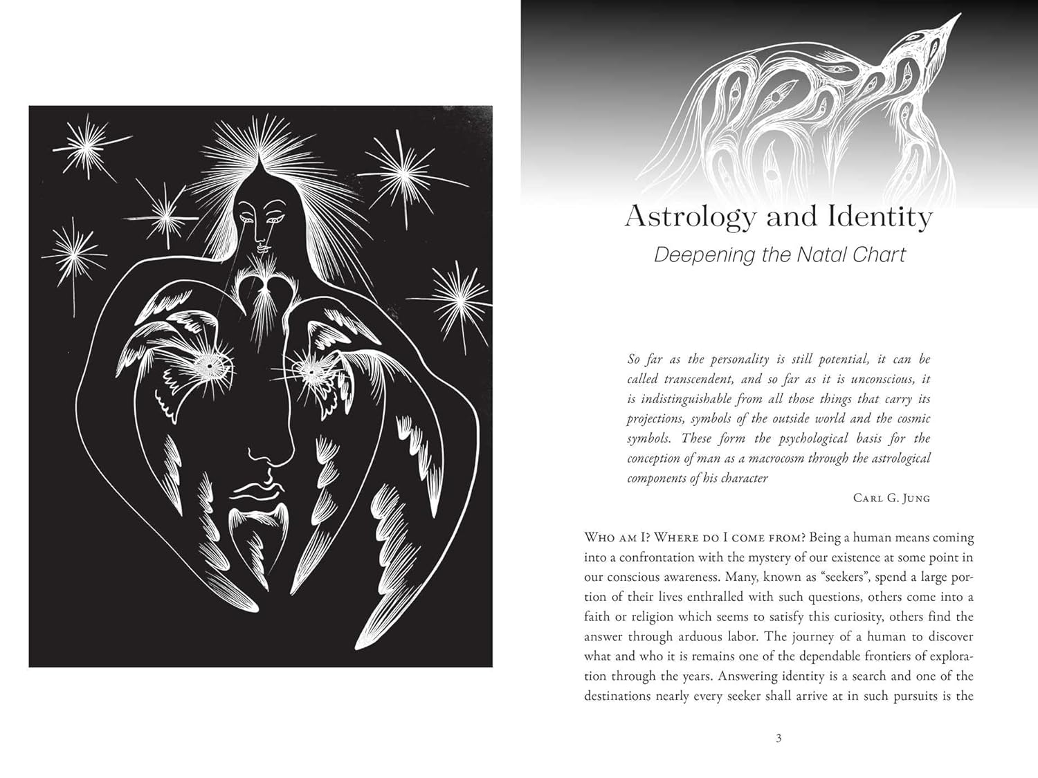 Shadow Self Astrology Guide: Understanding Oppositions in Your Natal Chart for Personal Growth & Self-Discovery | Perfect for Spiritual Seekers & Astrology Enthusiasts