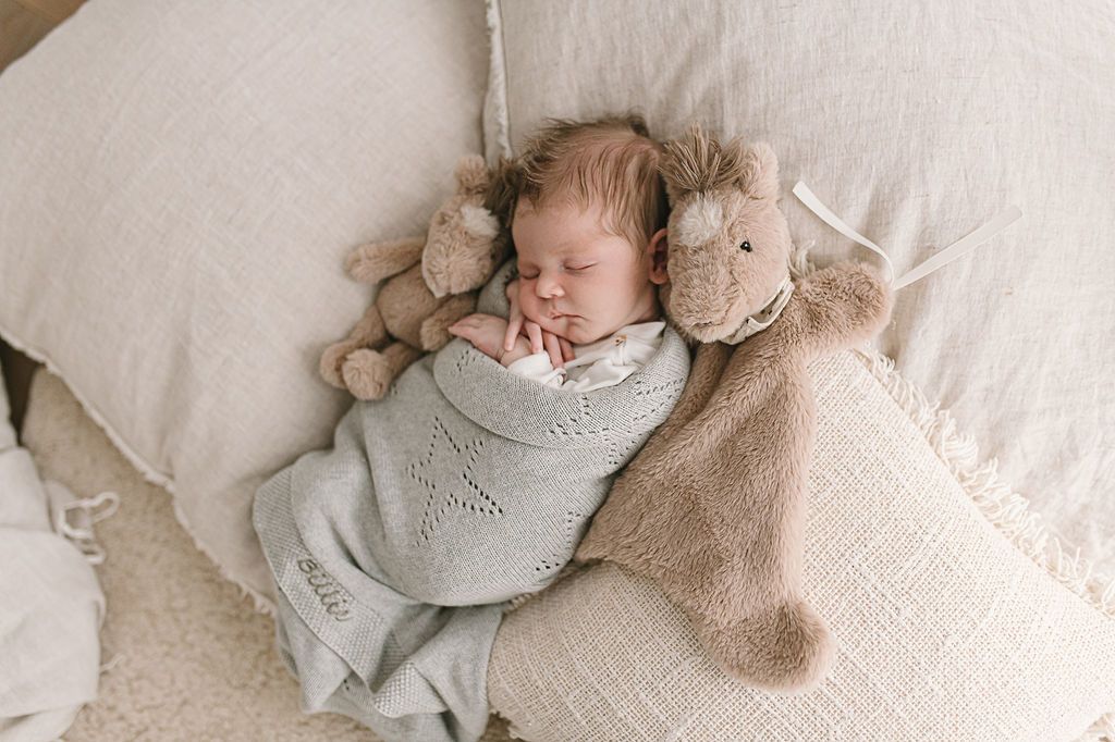 Forever Friend Harvey Horse Plush Toy Set - Soft Stuffed Animal for Kids, Cute Collectible Gift for Girls & Boys - Perfect for Bedroom Decor, Birthday Presents & Playtime Fun