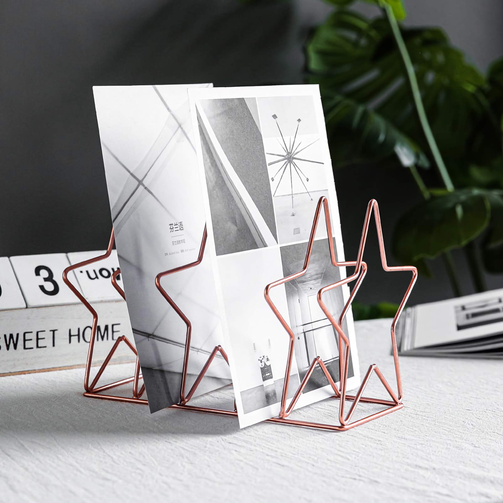 Metal File Folder Stand & Magazine Holder - Rose Gold Office Organizer for Documents, Newspapers, and Home Decoration | Perfect for Desk Organization and Living Room Storage