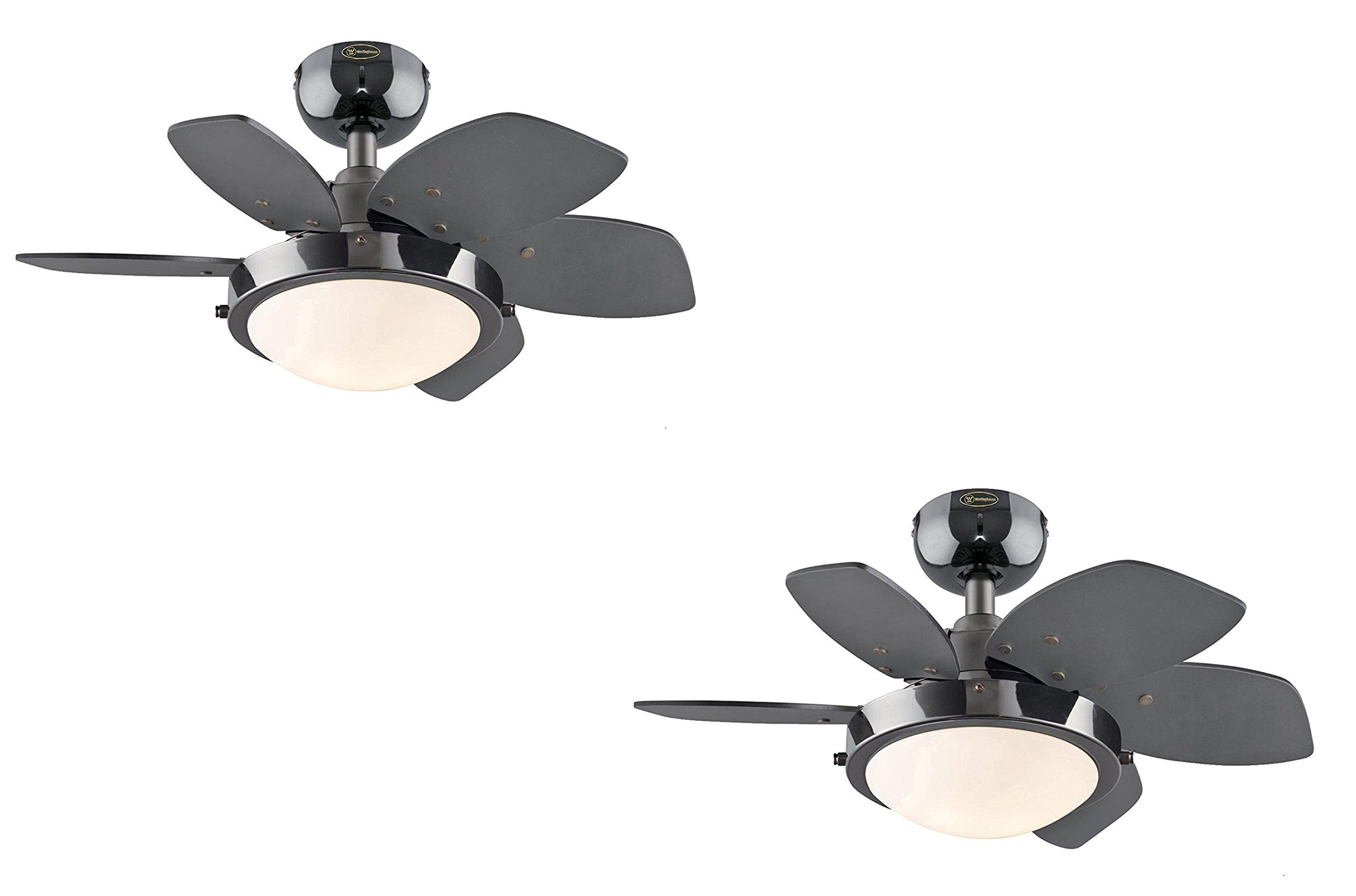 24 Inch Small Ceiling Fan with Light - 2 Pack, Quince Indoor Ceiling Fan in Gun Metal Finish, Reversible Black/Graphite Blades, LED Light Fixture with Opal Frosted Glass - Perfect for Bedroom, Living Room, and Office Spaces