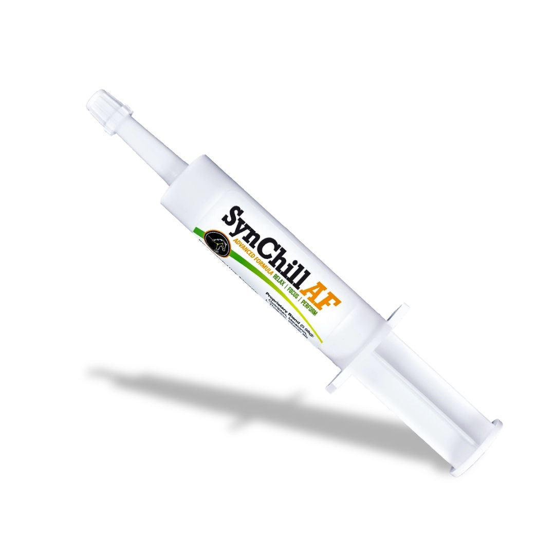 SynChill AF Advanced Formula - Premium Cooling Supplement for Enhanced Performance & Recovery - Ideal for Athletes, Fitness Enthusiasts & Active Lifestyles