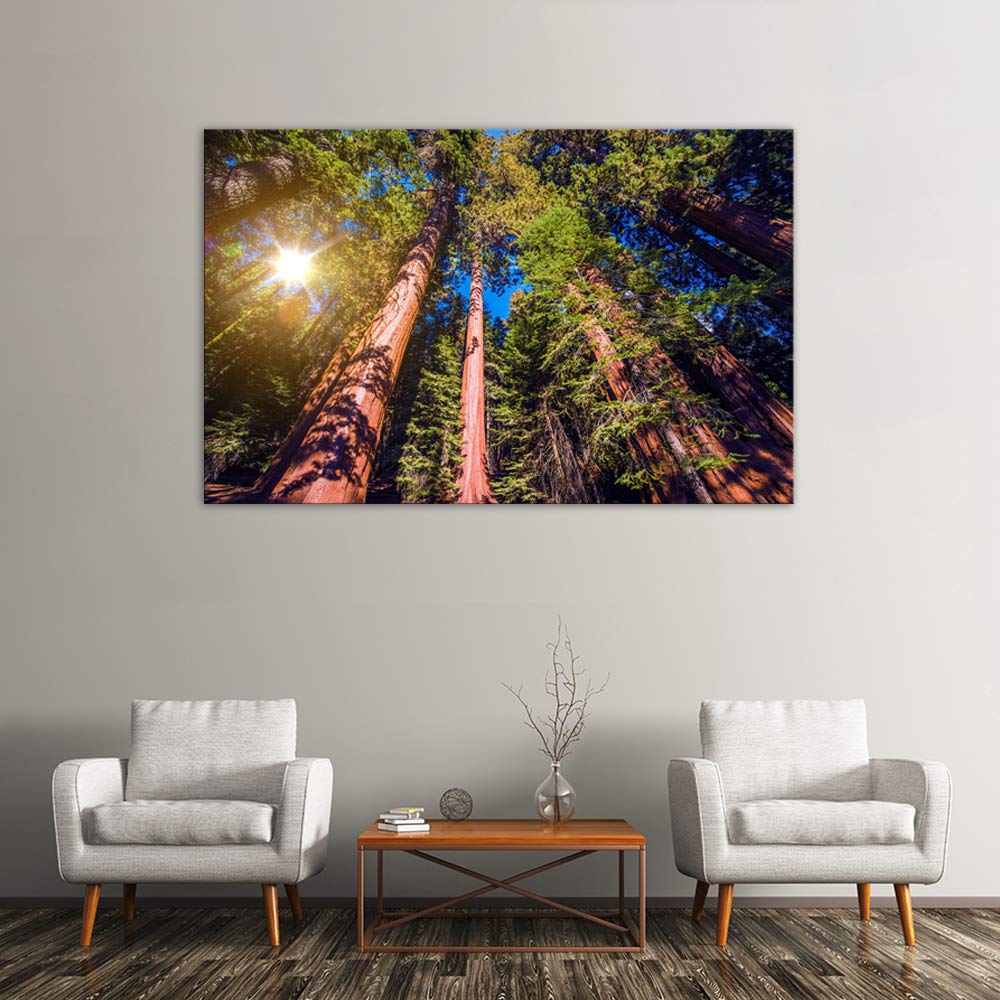 Giant Sequoias Forest Landscape Canvas Wall Art - Framed Nature Poster Painting for Home Decor, Living Room & Office - Perfect for Modern Interior Design & Nature Lovers