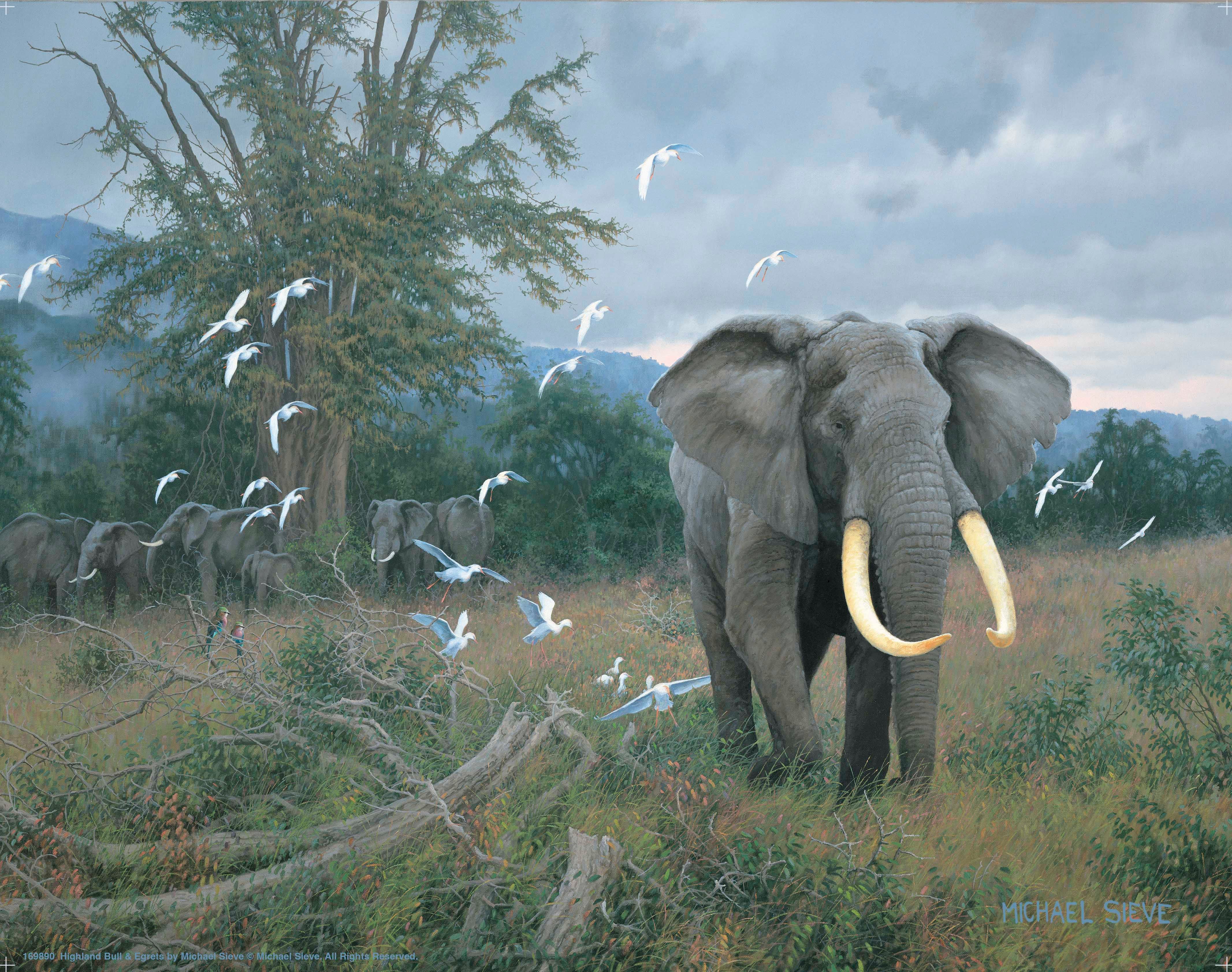 Highland Bull & Egrets Wall Art Prints - Premium Canvas Painting for Home & Office Decor - Perfect for Living Room, Bedroom & Office Wall Decor