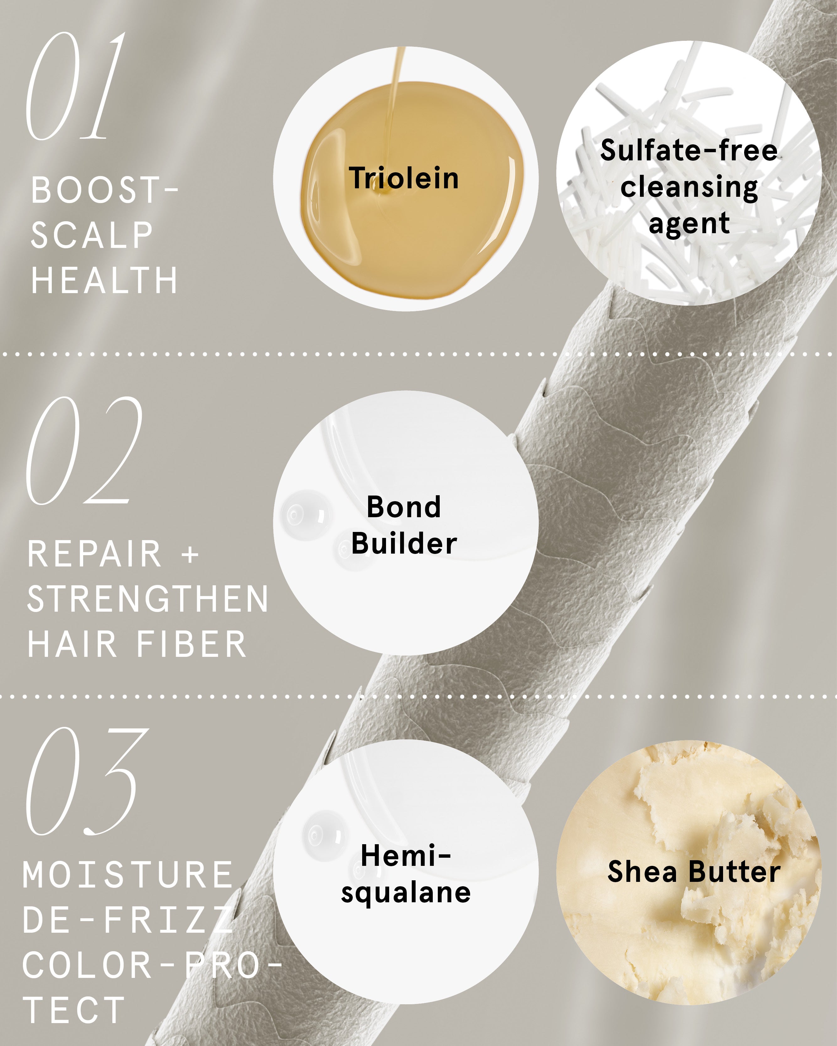Hydrating Repair Shampoo Bar for Dry Damaged Hair - Sulfate Free Natural Hair Care with Argan Oil & Shea Butter - Reduce Frizz & Nourish Strands - Perfect for Travel, Gym & Eco-Friendly Home Use