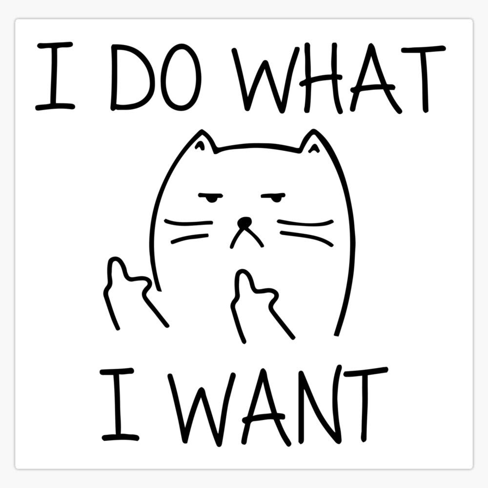 Funny 'I Do What I Want' Cat Vinyl Sticker - Waterproof 5 Inch Bumper Decal for Cars, Laptops & Water Bottles - Perfect for Pet Lovers & Humor Fans