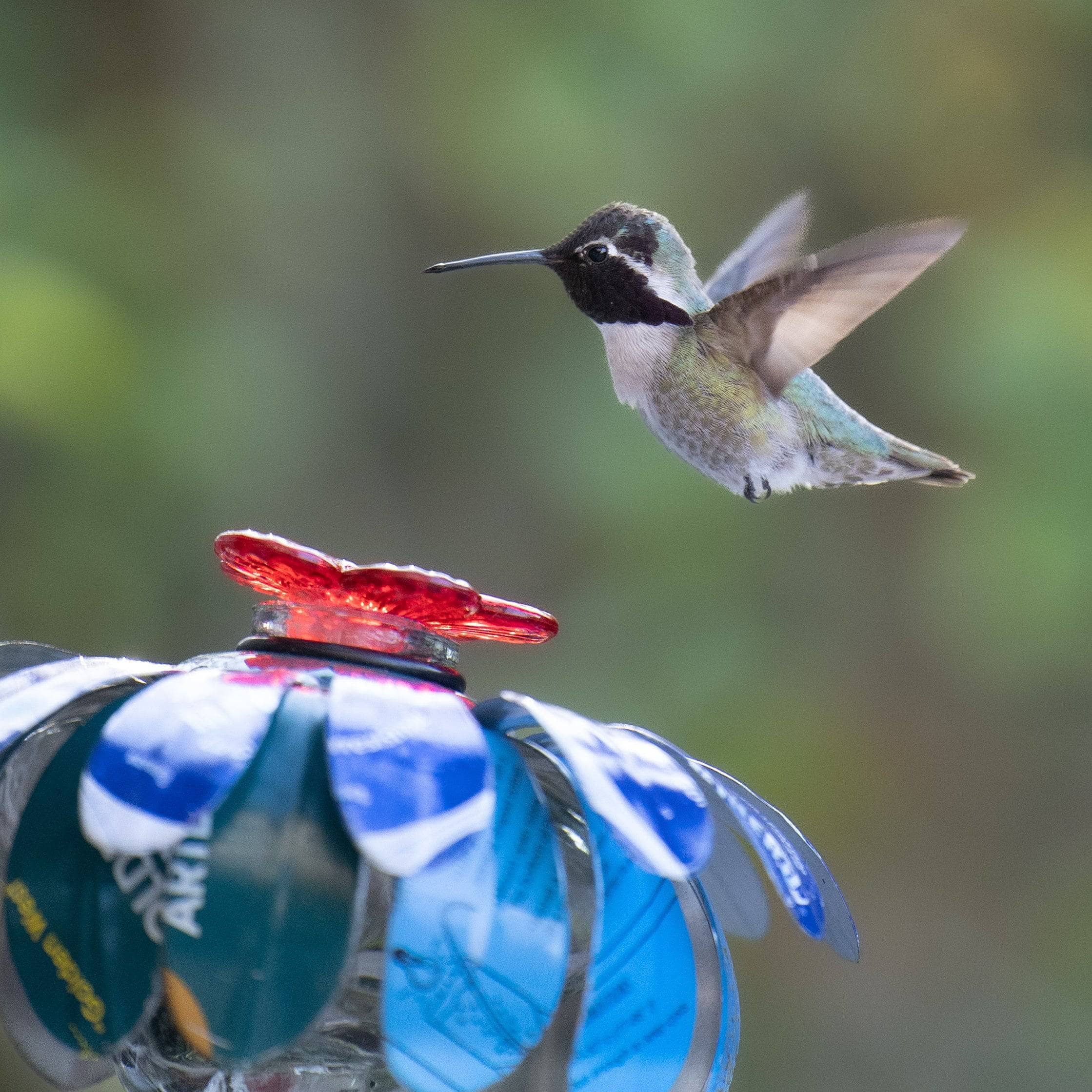 Best Clear 4 oz Hummingbird Feeder with Hook - Attract More Birds to Your Garden | Perfect for Outdoor Decoration & Backyard Bird Watching
