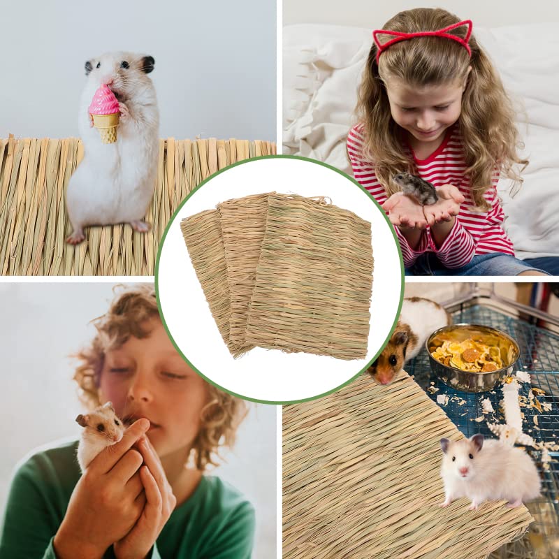 **30PCS Natural Timothy Hay & Apple Wood Chew Toys for Rabbits, Guinea Pigs, Hamsters, Chinchillas - Handmade Dental Treats for Teeth & Molar Care - Perfect for Cage Enrichment & Small Pet Chewing Needs**