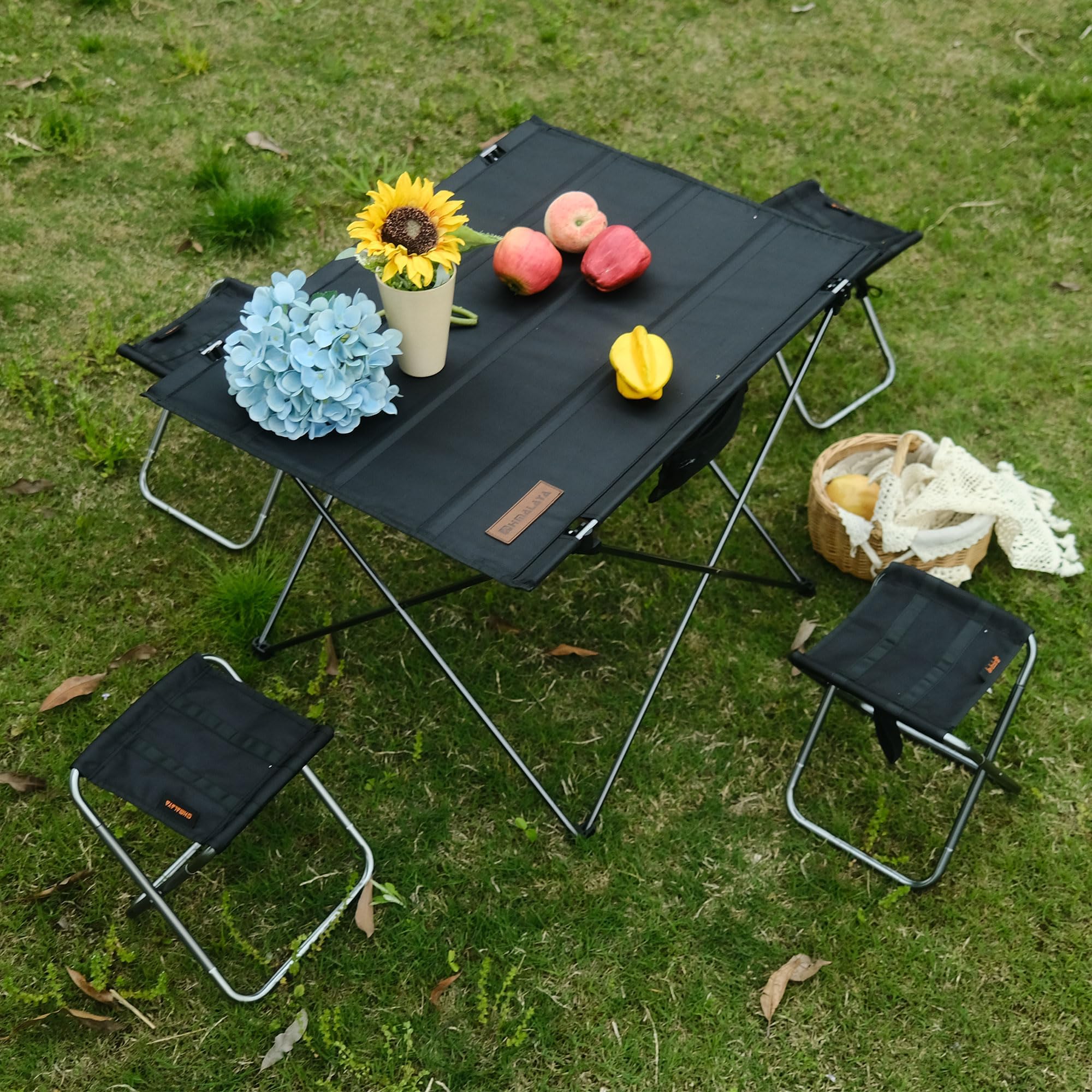 Portable Folding Camping Stool - Lightweight Collapsible Chair for Outdoor Activities, Hiking, Fishing, Beach, Picnic & Photography - Compact 9.86