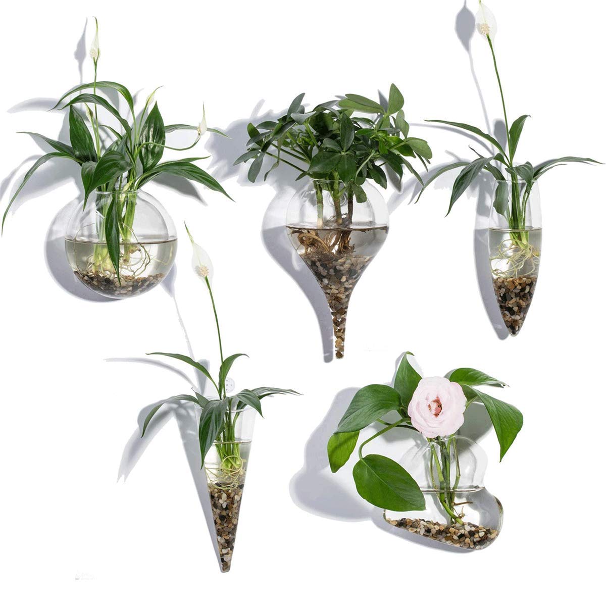 KnikGlass Set of 5 Round Wall Hanging Planters - Air Plant Holders, Hydroponic Growing System, Glass Terrarium Vases for Indoor Plants | Perfect for Home Decor, Office, Balcony & Vertical Gardens