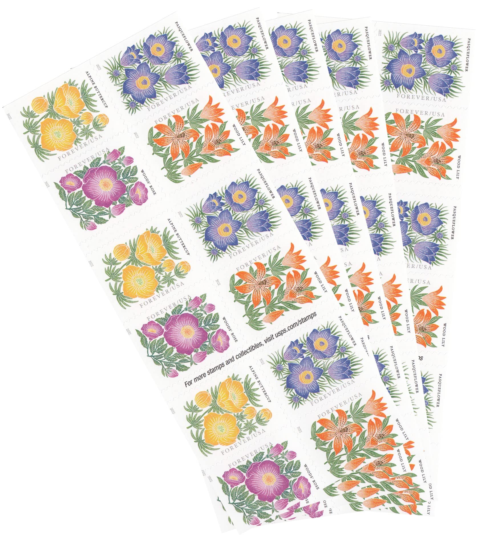 2022 Mountain Flora Flowers Forever Stamps - 5 Booklets (100 Stamps) for Gardening, Wedding Invitations & Collectors | USPS First-Class Postage
