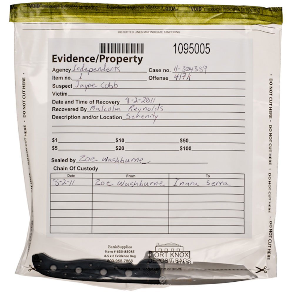 BankSupplies Clear Evidence Bags - 8.5