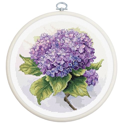 Hydrangea