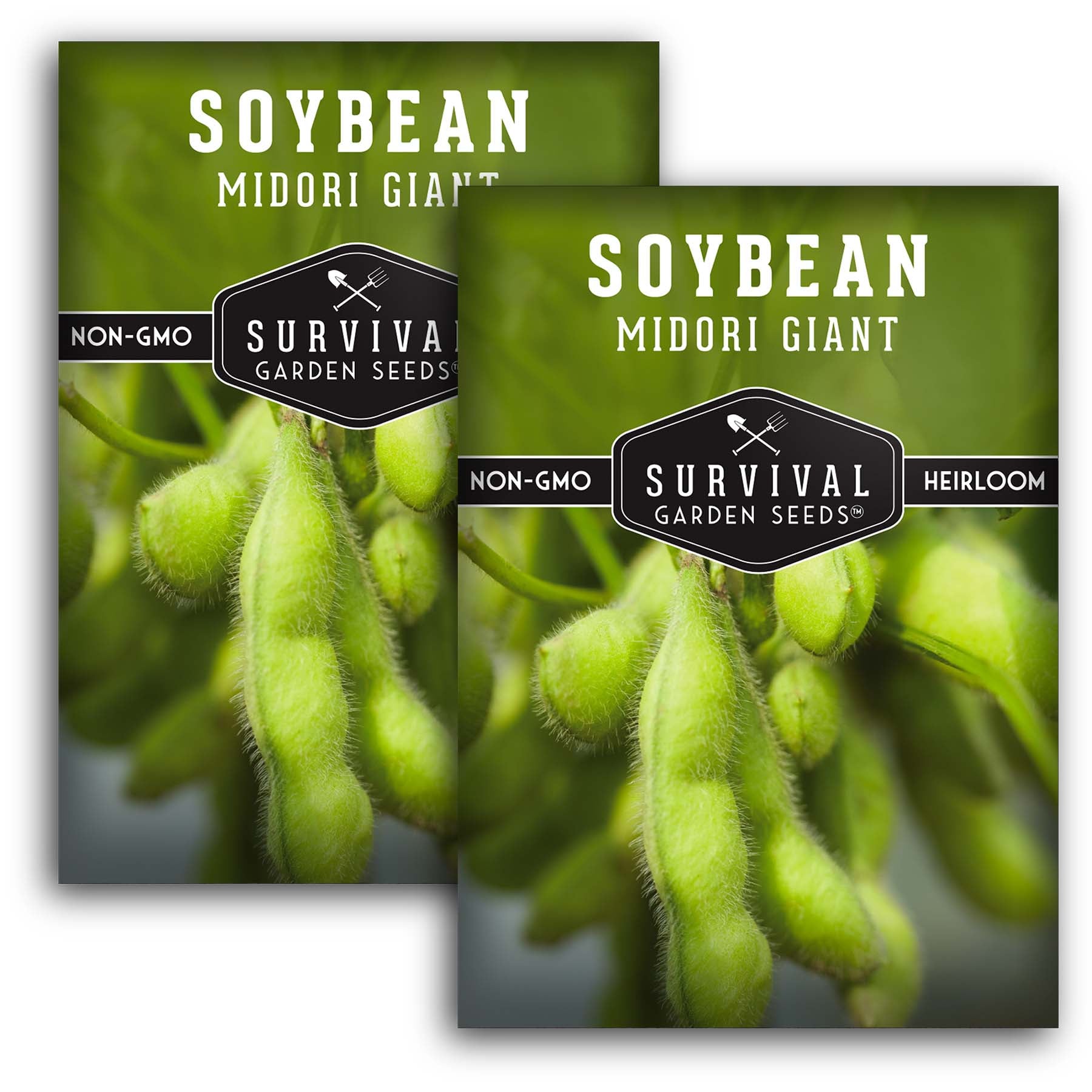 Midori Giant Soybean Seeds for Planting - Non-GMO, Organic Soybeans for Home Garden, Farming & Cooking - Perfect for Edamame, Tofu & Soy Milk