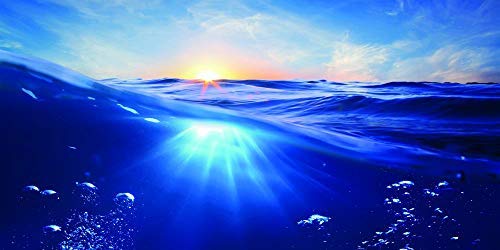 Ocean Water Aquarium Background Poster - Fish Tank Landscape Decor Sticker Custom (60