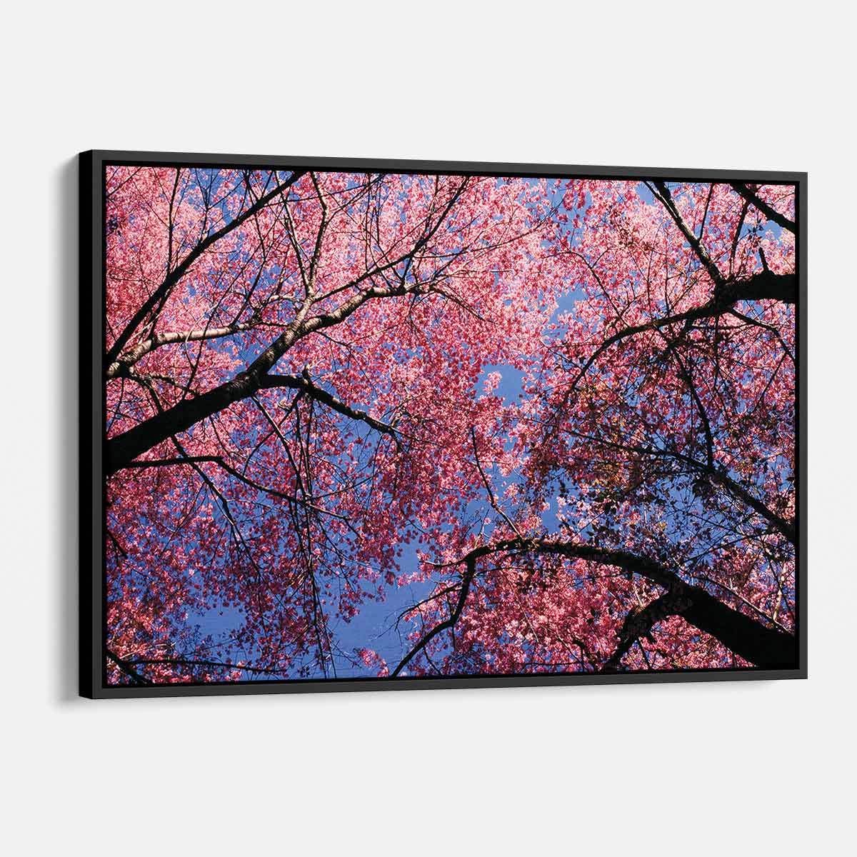 Pink Cherry Blossoms Wall Art Canvas Print - Japanese Sakura Flower Painting for Living Room, Bedroom & Office Decor