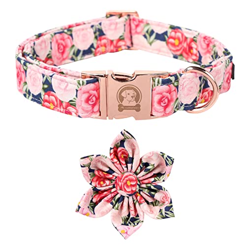 B:ROSEFLOWER