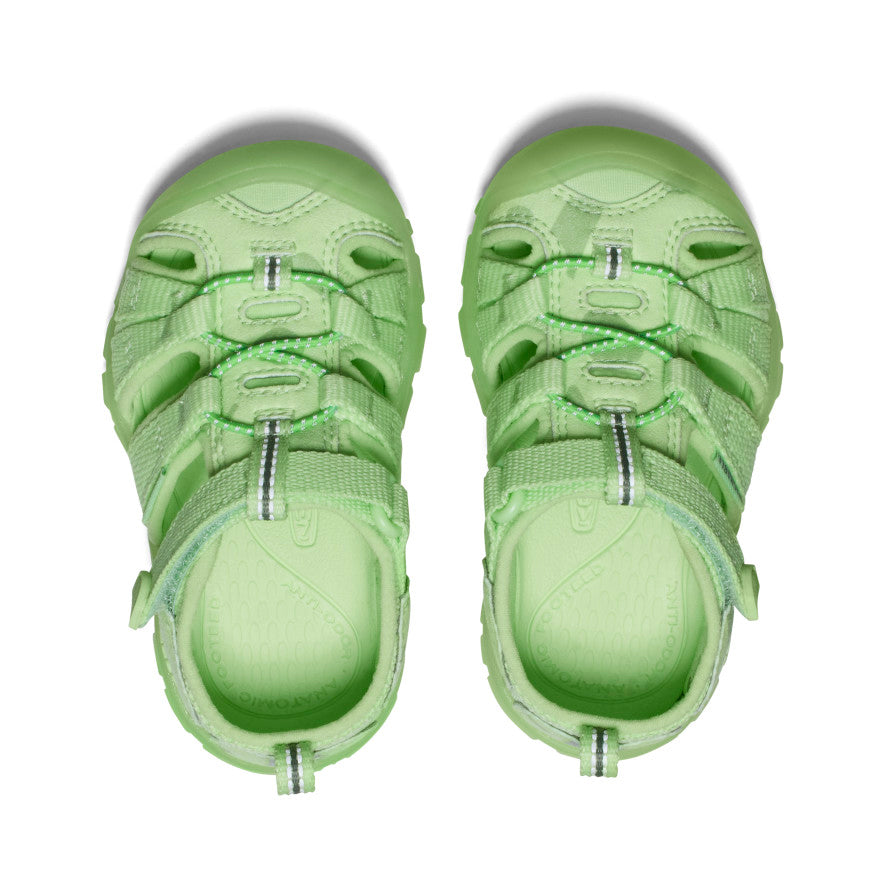 Toddlers' Seacamp II CNX Sandal by Namuk - Waterproof Beach & Outdoor Adventure Shoes for Kids - Perfect for Summer Play, Poolside, and Seaside Activities