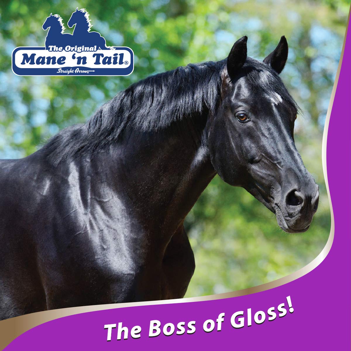 Mane 'n Tail Ultimate Gloss Shampoo for Horses & Humans - 32oz Moisturizing & Shine Enhancing Formula - Perfect for Show Prep & Daily Grooming