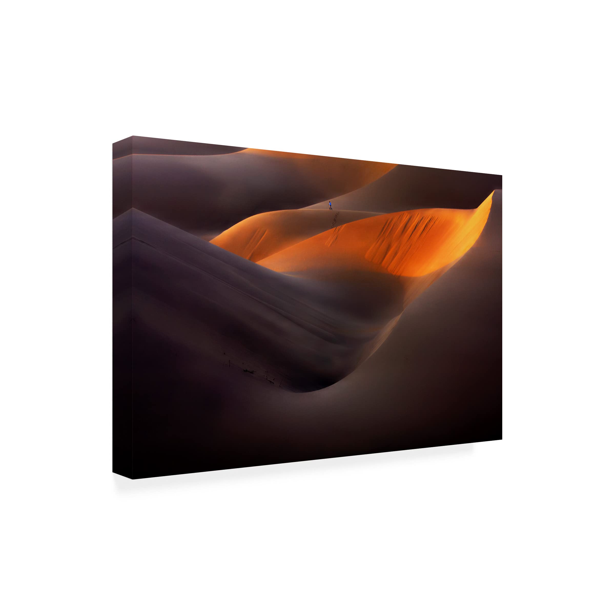 Trademark Fine Art 'Desert Sunset' Canvas Wall Art Print by Ebrahim Bakhtari Bonab - Perfect for Living Room, Bedroom & Office Decor