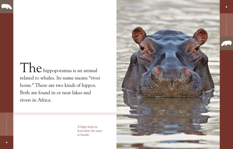 Amazing Animals (2014): Hippopotamuses - Educational Wildlife Documentary for Kids & Adults | Perfect for Classroom Learning & Family Movie Nights
