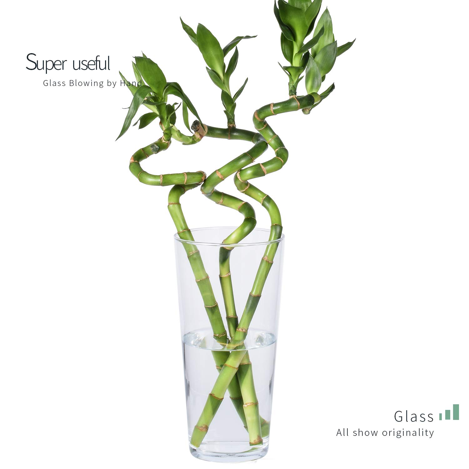Elegant Glass Cylinder Vases - Set of 1 Modern Home Decor & Wedding Centerpiece for Dining Table, Living Room, or Event Decorations