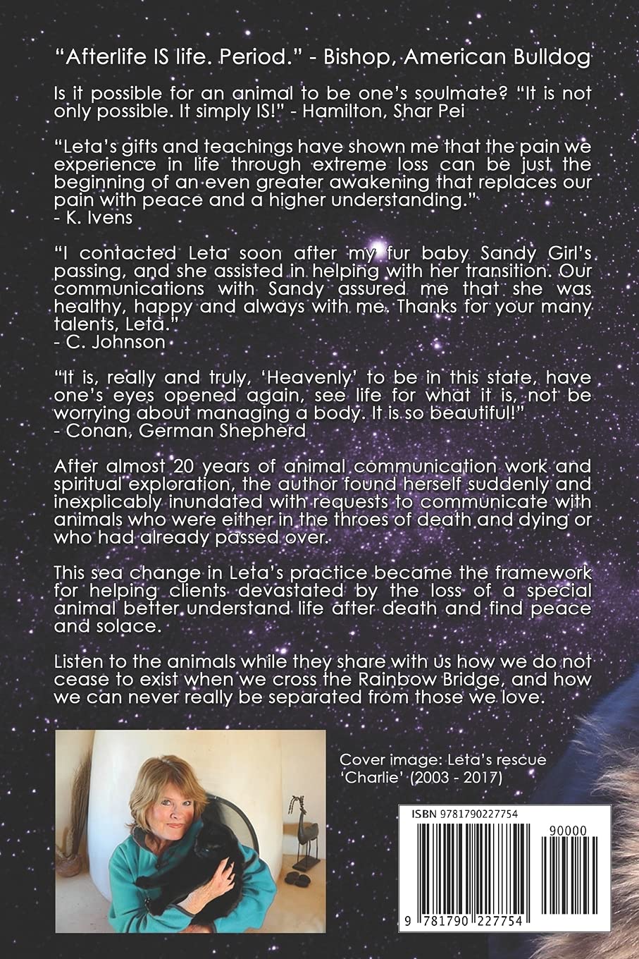Animal Afterlife: In Their Own Words - Spiritual Pet Communication Book for Grieving Owners | Comforting Stories of Animal Afterlife Experiences
