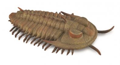 CollectA Redlichia Rex Trilobite Dinosaur Figurine - Realistic Prehistoric Fossil Replica for Kids, Collectors & Educational Use | Perfect for Dioramas, School Projects & Dinosaur Toy Collections