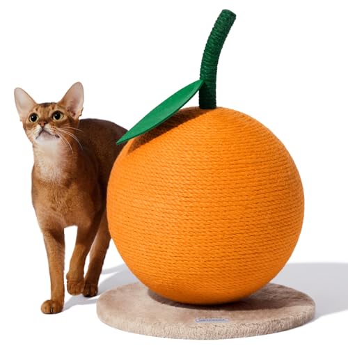 An Orange