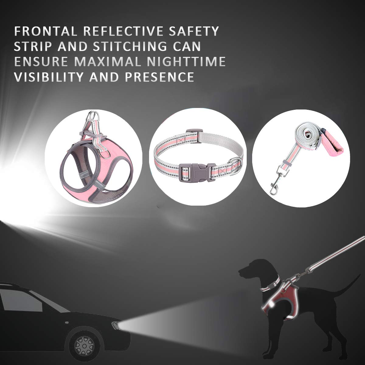JSXD Small Dog Harness & Leash Set - Adjustable Puppy Harness with 3M Reflective Vest for Small to Medium Dogs - Perfect for Walking, Training & Nighttime Safety