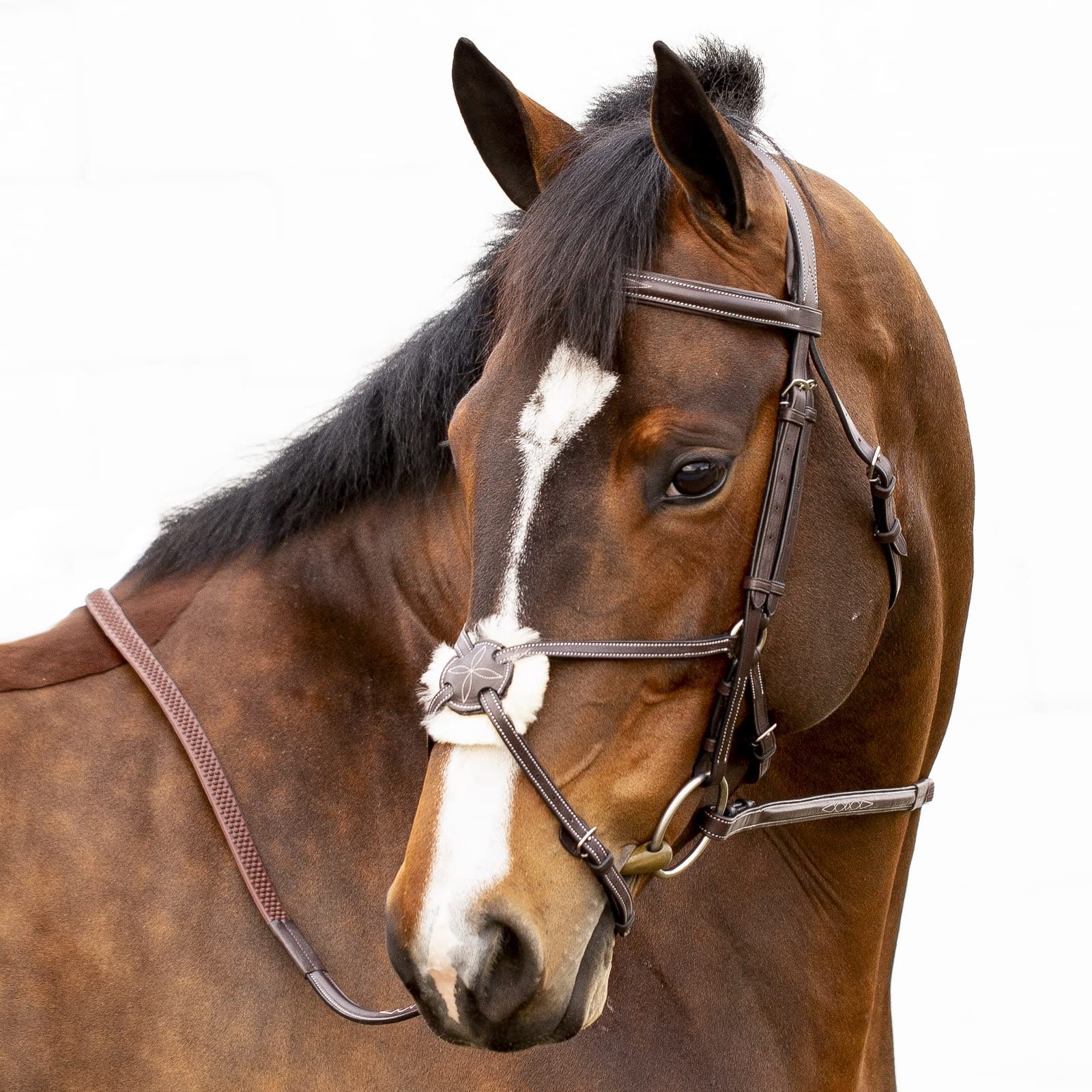 Equinavia Valkyrie Fancy Stitched Padded Figure 8 Bridle with Reins - Premium Equestrian Horse Riding Gear for Dressage & Show Jumping | Comfortable & Stylish Design for Competition & Training