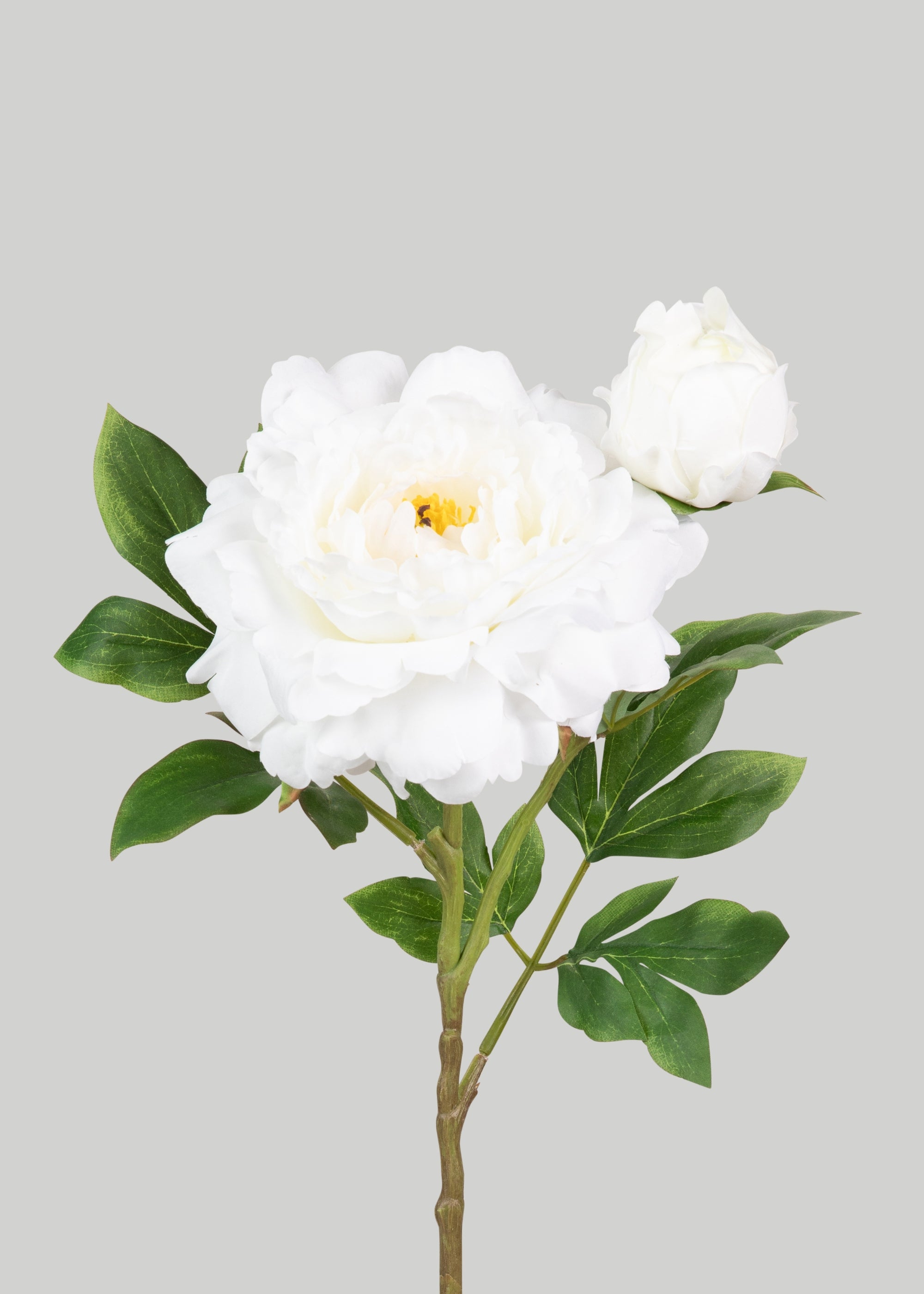 Premium Artificial White Peony Flowers - Realistic Fake Queen Garden Peony Bouquet for Home Decor, Wedding Centerpieces & Floral Arrangements (30 Pack)